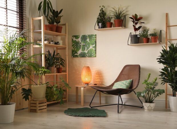Rośliny we wnętrzach – jak je wykorzystać i dlaczego warto? Sprawdź podpowiedzi profesjonalistów
