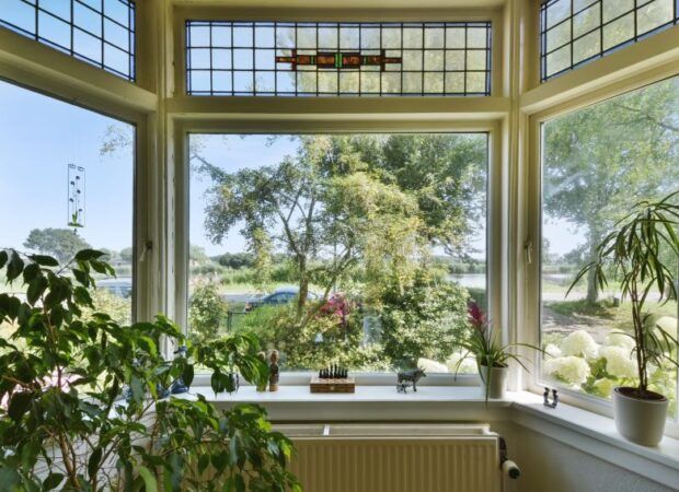 Wykusz – czym jest i dlaczego warto go mieć?